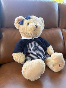 Paul Costello Teddy Bear