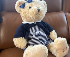 Paul Costello Teddy Bear
