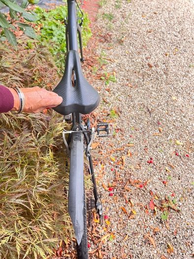 trek bicycle