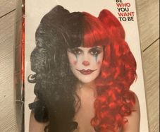 Halloween Wig Harlequin