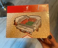 Wooden puzzle