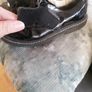 Lelli Kelly School Shoes Image 3