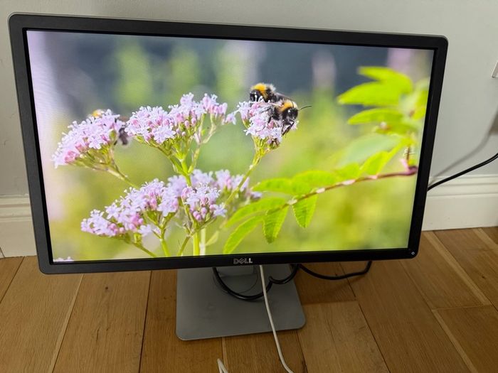 Dell P2314HT 23" Monitor | 1080p LED | DisplayPort / VGA / DVI