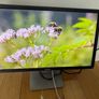 Dell P2314HT 23" Monitor | 1080p LED | DisplayPort / VGA / DVI Image 2