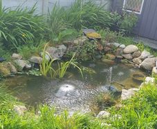 Pond set up/  equipment for sale