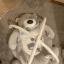 Babyzee Bear Necessities Play Gym Image 2