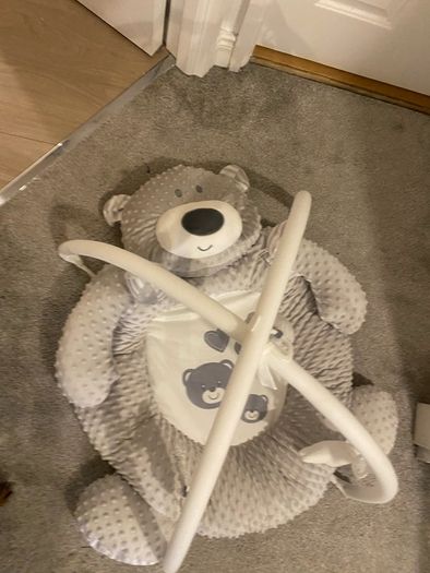 Babyzee Bear Necessities Play Gym