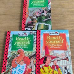 Ladybird read it yourself book bundle