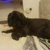 buddy3