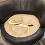 Rotating Couch Image 5