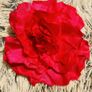 Vibrant Pink Flower Hair Clip  Bold & Beautiful Image 3
