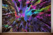 Trippy Tapestry Fantasy Rainbow Colourful Forest Aesthetic Bedroom Decor (Multiple Sizes)