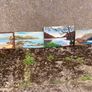 Paintings x 4 Image 8