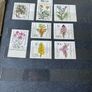 GERMANY MNH collection in stamp album Image 2