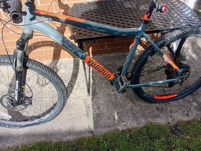 adults bike