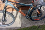 adults bike