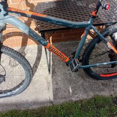 adults bike