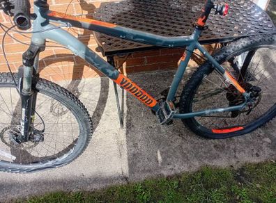 adults bike