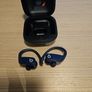 Beats Powerbeats Pro Earphones Image 3
