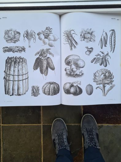 The Decoupage Sourcebook. Includes 64 Pages Of Motifs To Cut Out. By Jovasta Innrs & Stewart Walton.