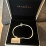 Pandora Bracelet Image 2
