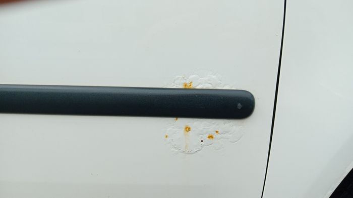 van