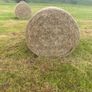 Organic hay Image 3