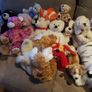Large collection of soft toys Image 4