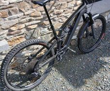 Trek Fuel EXe