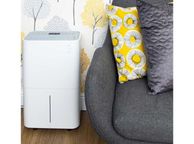 main image for ad 20L Compact Compressor Dehumidifier