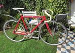 Fugi feather fixie bike