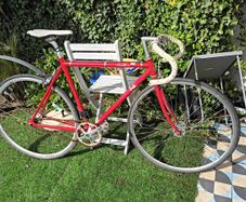 Fugi feather fixie bike