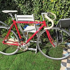 Fugi feather fixie bike