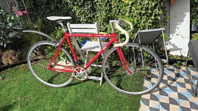 Fugi feather fixie bike