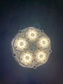 Sansi Plant Lightbulb