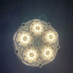 Sansi Plant Lightbulb
