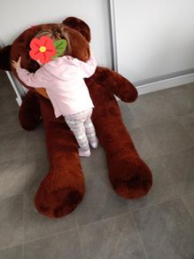 Huge teddy