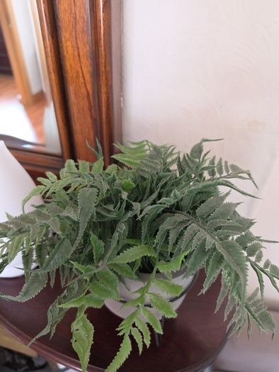 artificial indoor plant