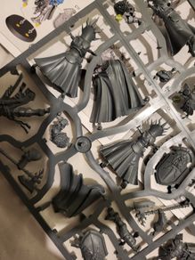 Games Workshop Warhammer AoS Age of Sigmar Stormcast Eternals Reclusians with Memorians
