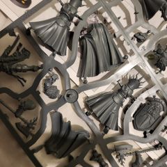 Games Workshop Warhammer AoS Age of Sigmar Stormcast Eternals Reclusians with Memorians