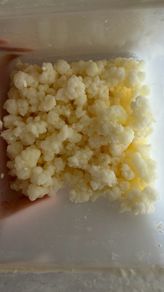 Free kefir grains