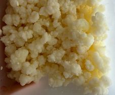 Free kefir grains