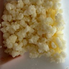 Free kefir grains