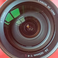 Canon 5D Mark II, Lenses, Manfrotto Tripod