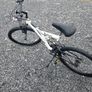 Adult Mountain Bike Image 2