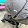 jole buggy Image 3