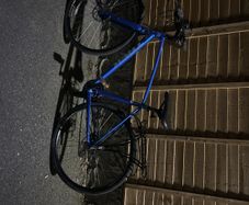 trek fx 2