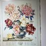 This is a vintage botanical art print titled "Peony" framed and glazed, Image 2