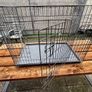 XXL Dog Crate Image 2