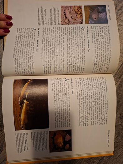 Illustrated Library of Natural Sciences -14 volume set